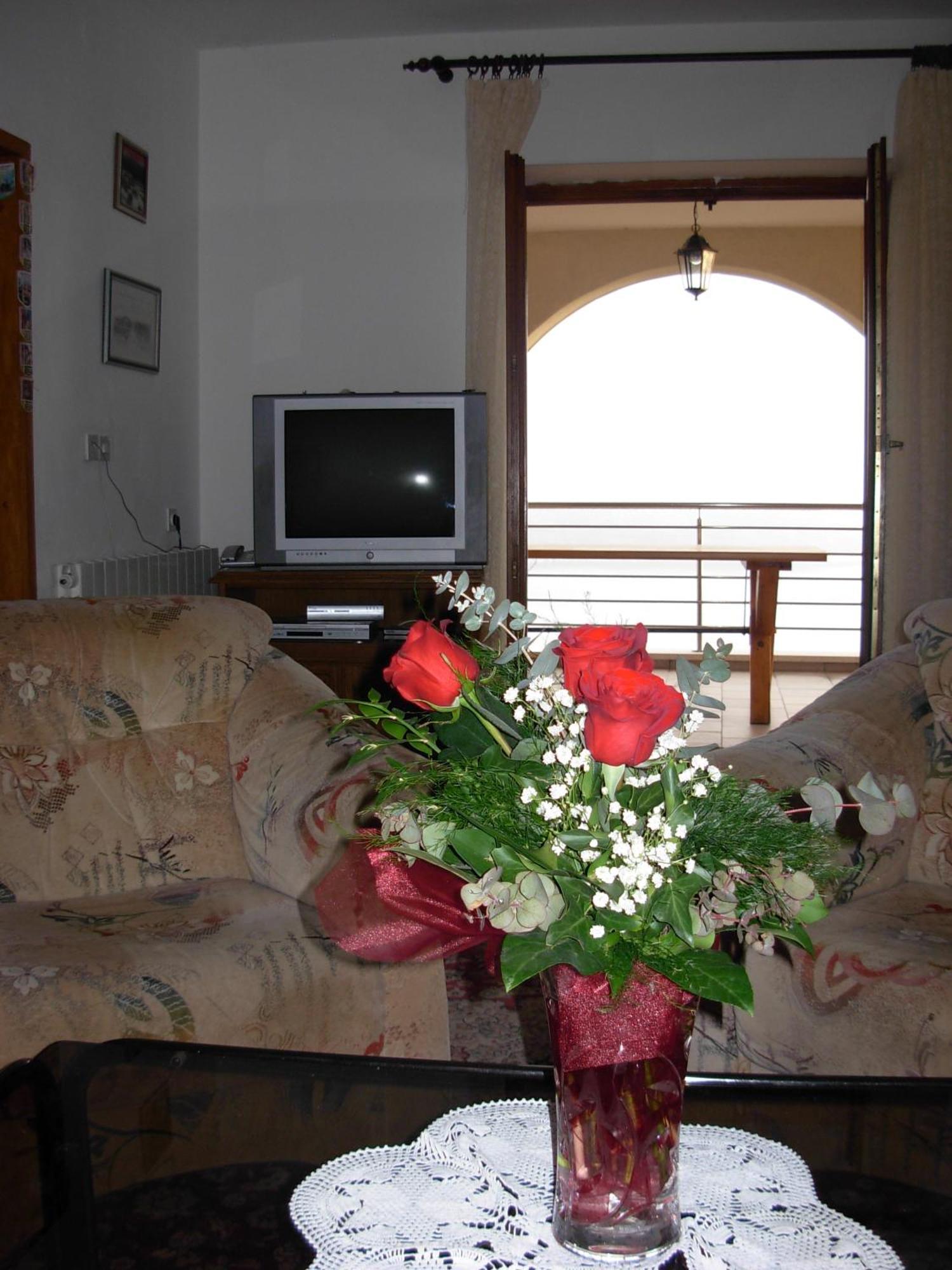 אורסאץ Apartments Druskovic מראה חיצוני תמונה